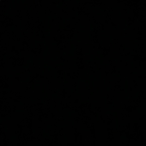 Meet your Posher, Sheila - Picture 1 of 1